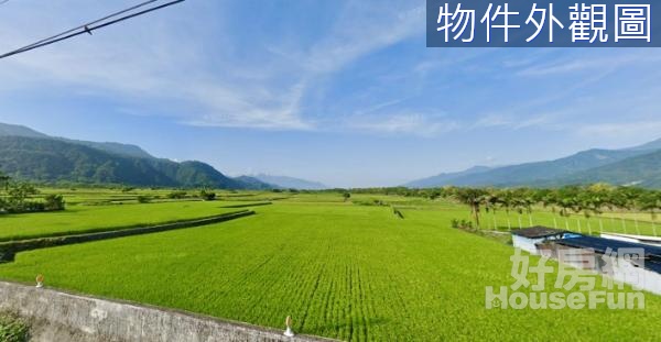 🌸玉里高寮赤柯山下臨灌溉水源美農地⛰️