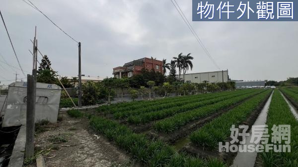 農地|彰化埔鹽|埔鹽員鹿路一彎美田