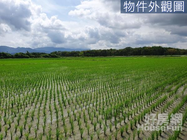 ~鳳林臨路景色優美平坦方正足坪農地~