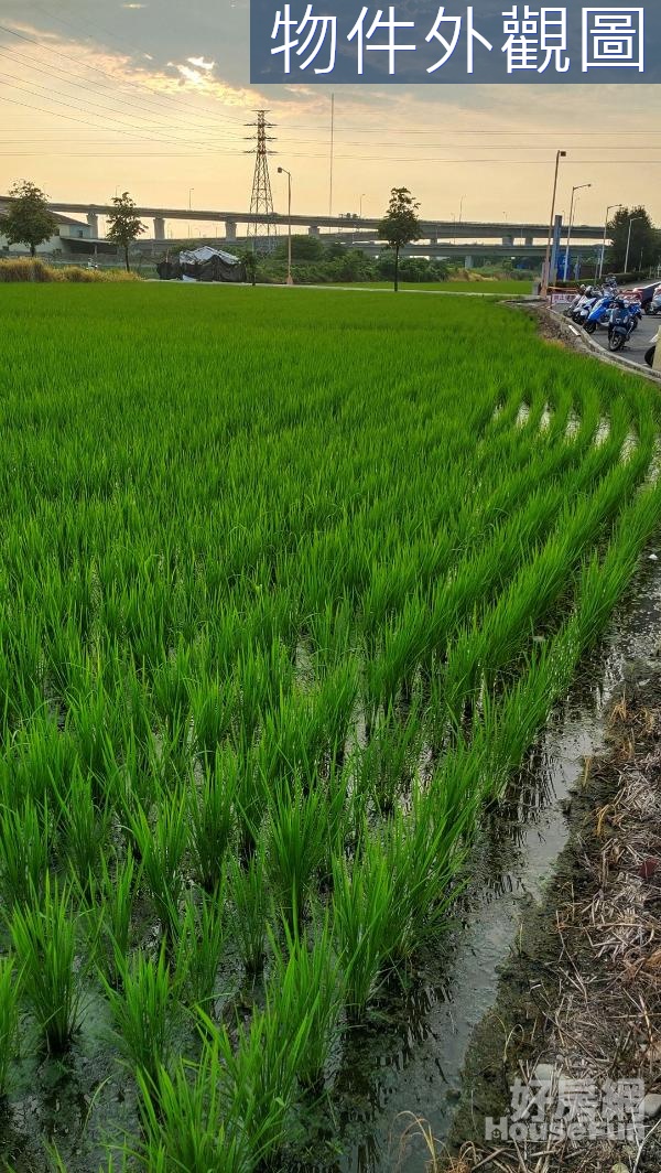 🌱霧峰亞大醫院前｜臨10米路精緻美農地