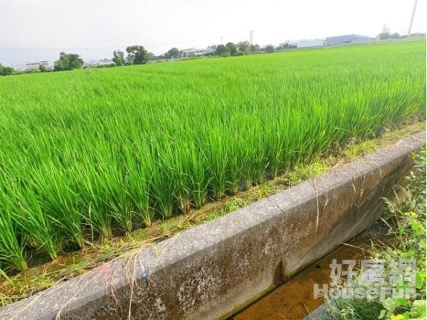 嘉義住商一銀  民雄興中國小旁都市計畫農地B