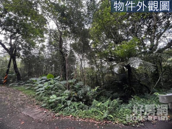  專任復興近綠光森林．霞雲段臨路原保地