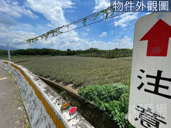 ✨屏東高樹 雙面臨路 超大塊農地✨