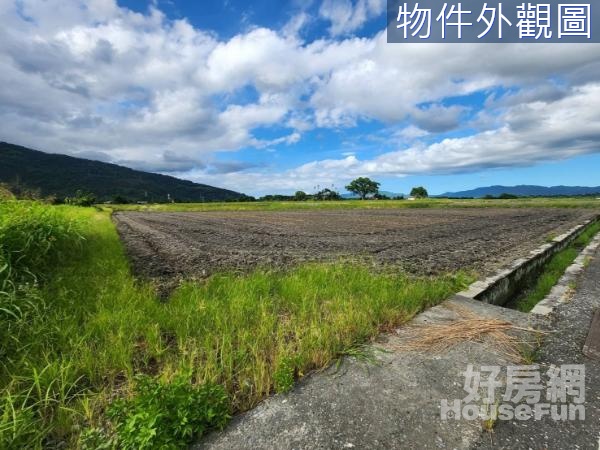 (專任)鳳林近台九線農地 F740