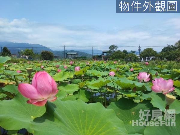 【員山鄉實境看屋】近深洲大道深福段大面寬農地