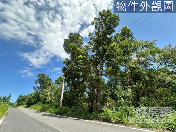 🌷壽豐志新段｜村莊旁有臨路｜便宜都內農地