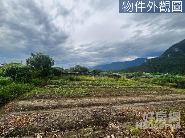 🌵佳東農舍群旁方正山景為伴平坦農地⛰️