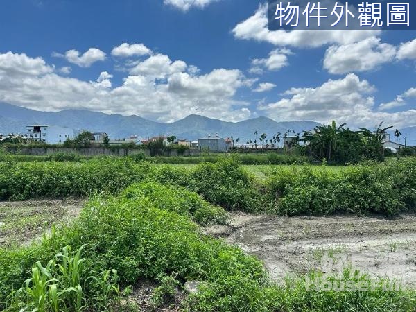 高樹鬧區12米路超值都計農地