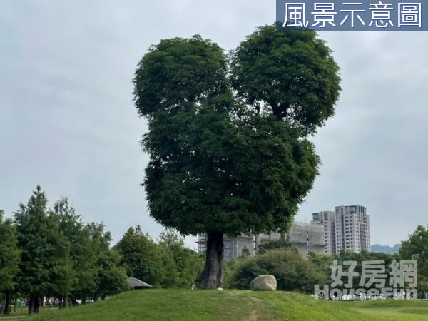 12單元南興公園東光國小101坪建地