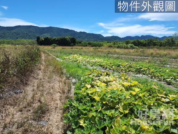 ♥️鳳林♥️景色幽美♥️土壤肥美♥️農地♥️