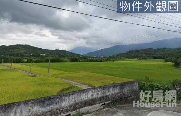 🍃富里稻米的故鄉眺望美人山足坪美農地