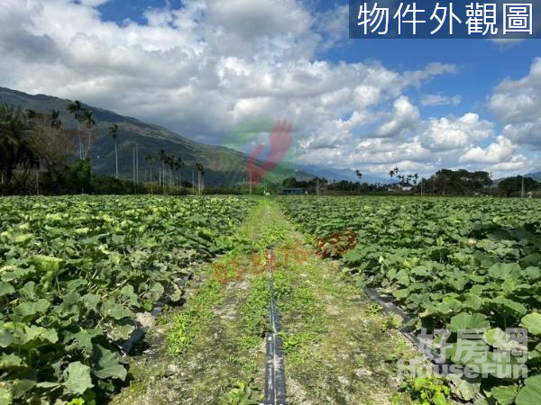 【專】瑞穗３６０度山景視野最佳美農地Ｂ－B262