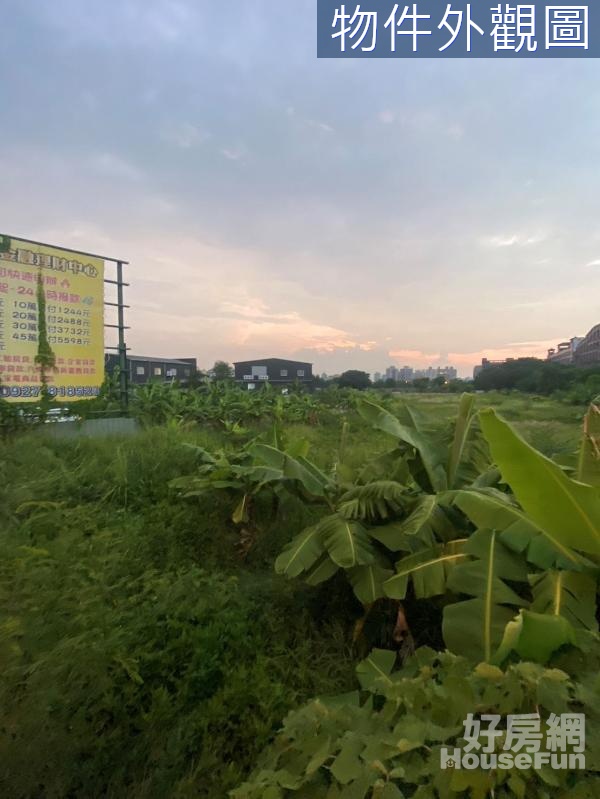 (M)中投公路旁鄰僑泰中學大地坪美農地