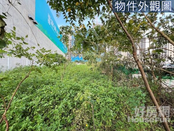 嚴選【力行段】正文化二路上中心商業區美建地