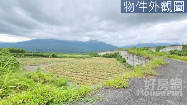 🍃瑞穗低總價花東縱谷山景農地可分售(袋地)