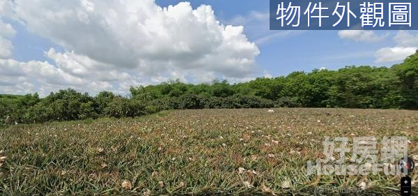 關廟大面寬平坦農地享受退休田園風光