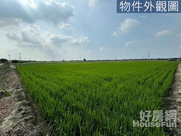 近雲林高鐵站大坪數低總價方正農地