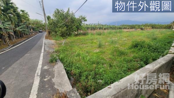 潮州四林農地 地形完整 有排水溝 近村莊