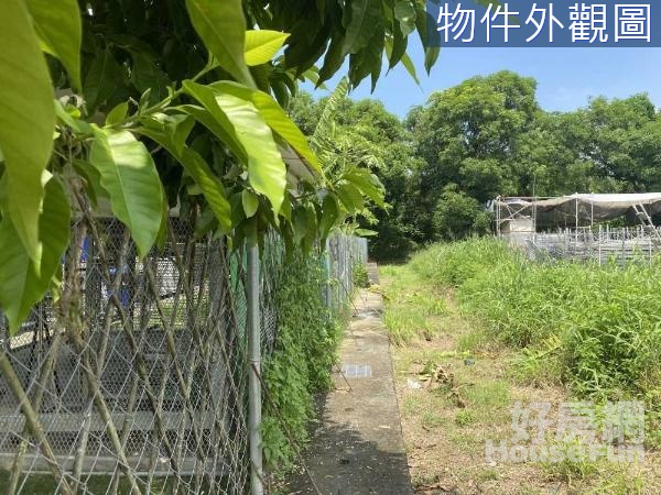 *專約*阿蓮大崗山生態園區休閒美景方正好農地