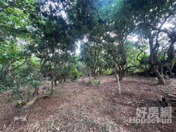 彰化芬園溪頭丨臨路農牧用地丨芬園挑水古道