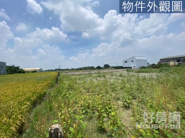 玉山路多筆休閒農地