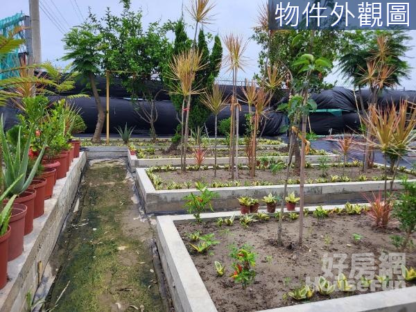 台南善化1.6分有水有電休閒農場