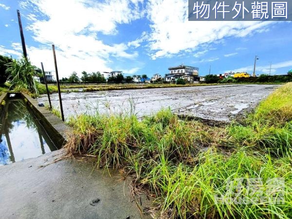 羅東鎮仁愛二段鄰16米大馬路超優質美農地