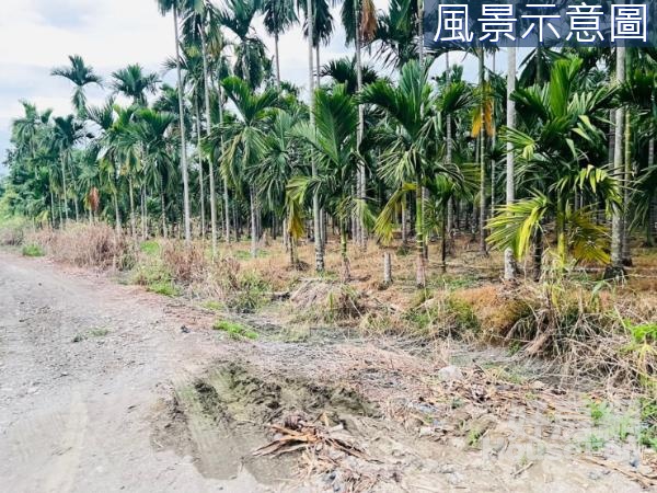 內埔大新8米路旁方正農地 KI.JP