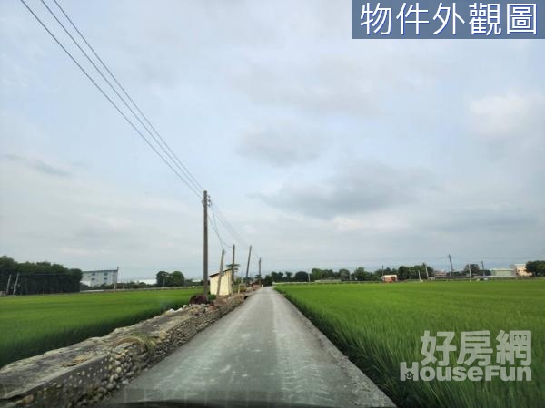 彰化埔心鄉霖興段農地-員林交流道特定區