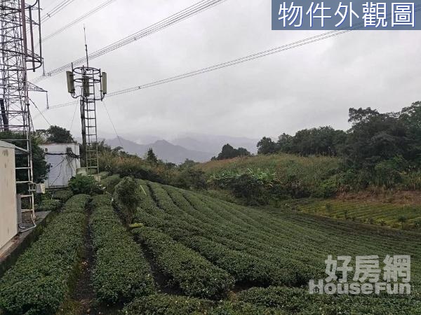 新北坪林近魚堀路土地