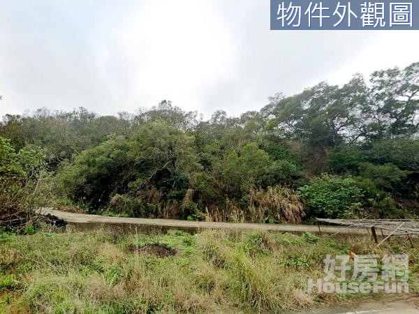 通霄臨路丙建250坪+農牧4900坪~近台1國3