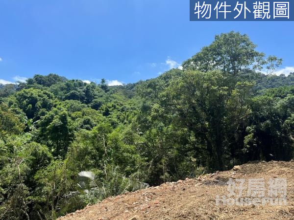 北埔山坡地/保育區/湖西段/休閒丙種建地