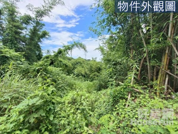 台南龍崎近文衡殿9.42分山坡地保育區農牧用地