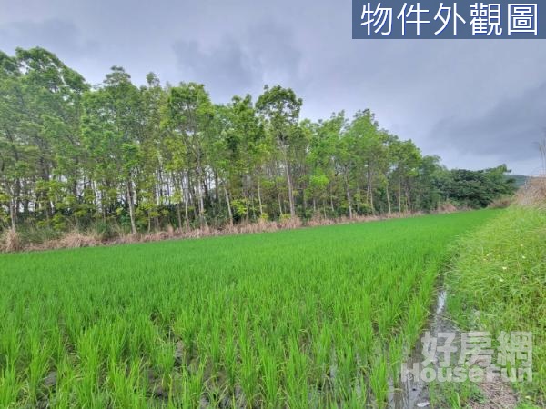 壽豐忠孝新村此區最便宜可分割都內農地5F1210