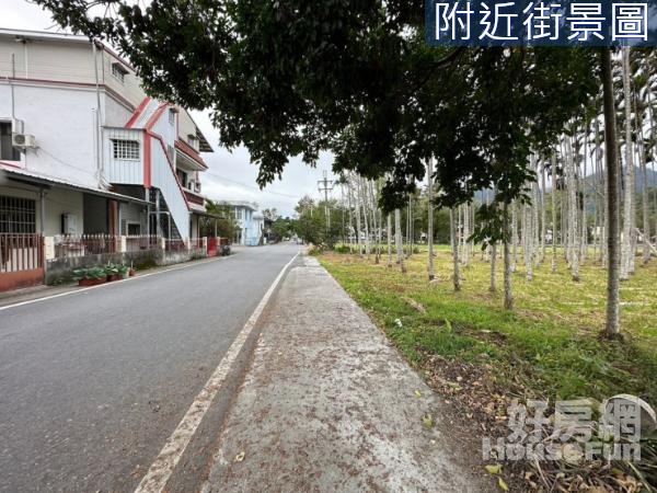 台東關山市區道路用地俗俗的賣二分之一(A)