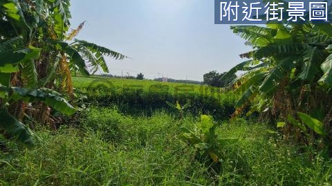 佳里延平國小附近優質農地413 台南市佳里區延平段
