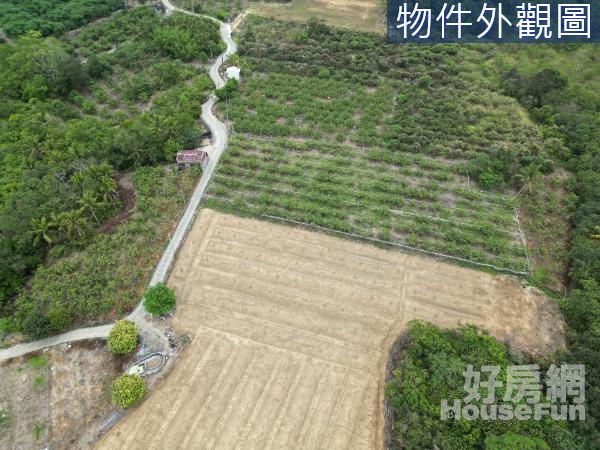 🍎楠西龜丹溫泉區6.1分便宜平坦農地🍎