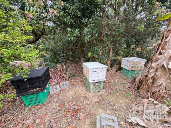 太平頭汴坑合法資材室養蜂樂活養生農地