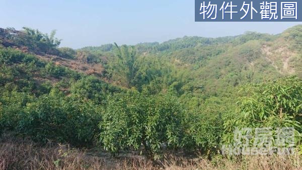台南 南化區 4.66分 超低總價優質農地	
